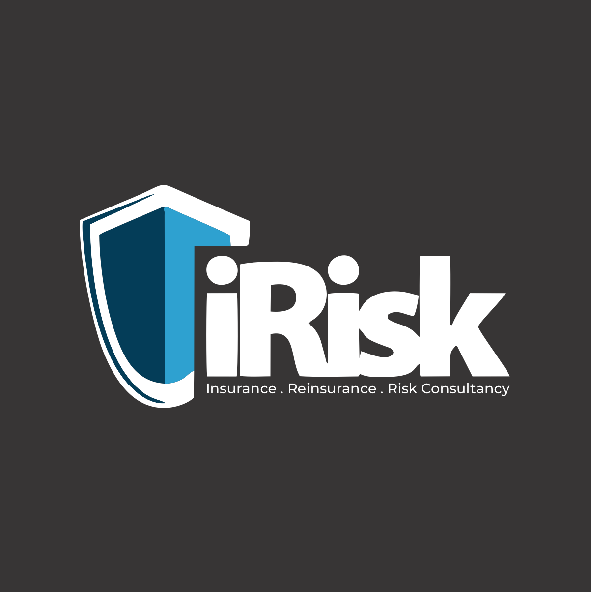 iRisk Management Ltd logo